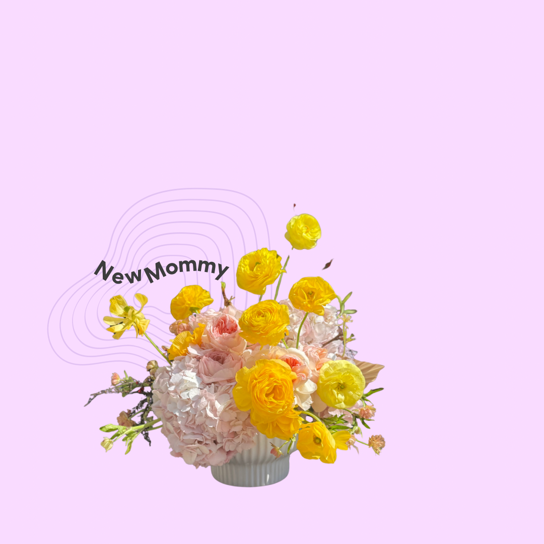 New Mommy
