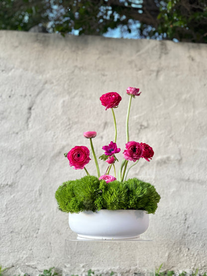 Ranunculus Garden