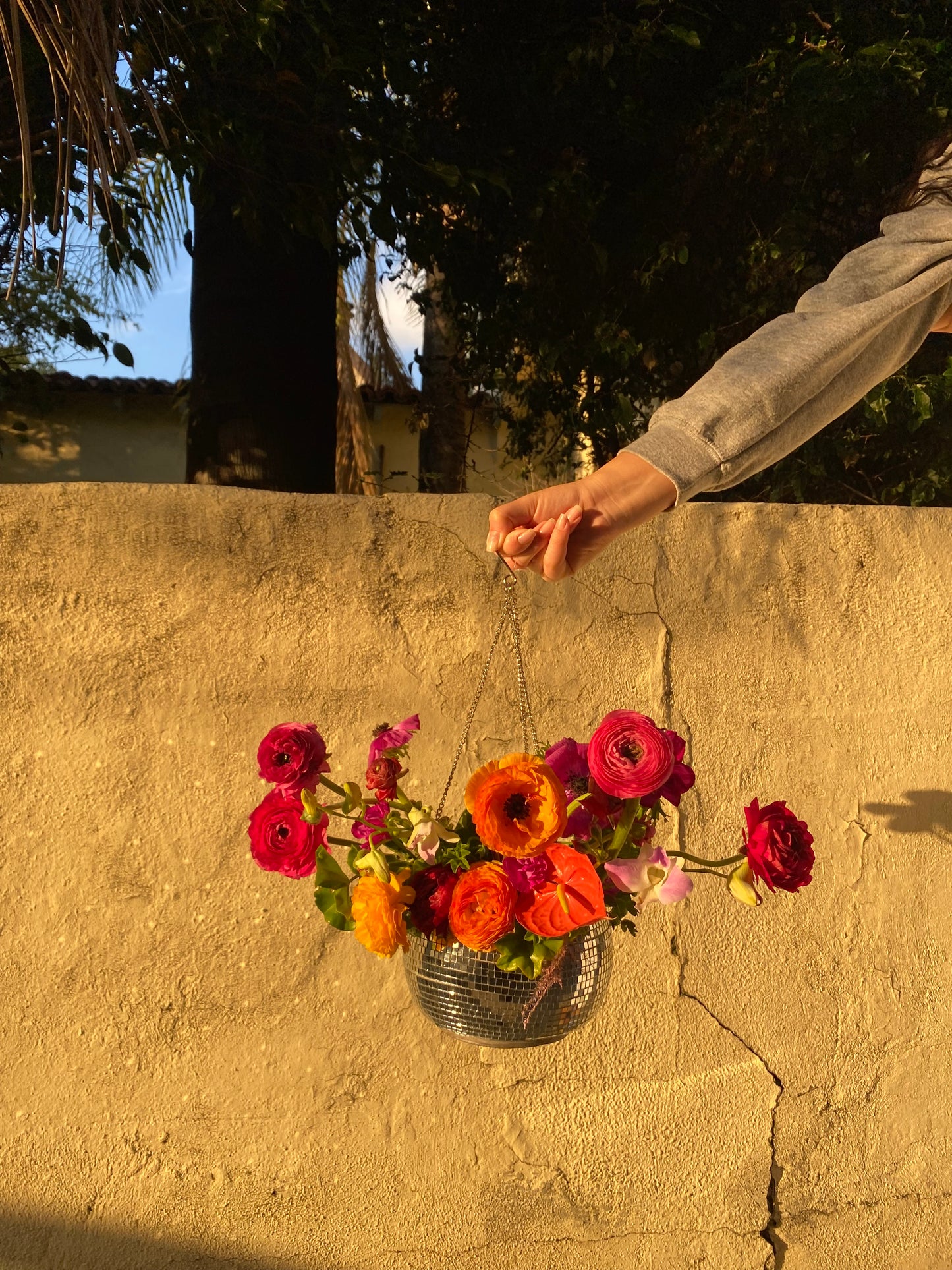 Disco Planter