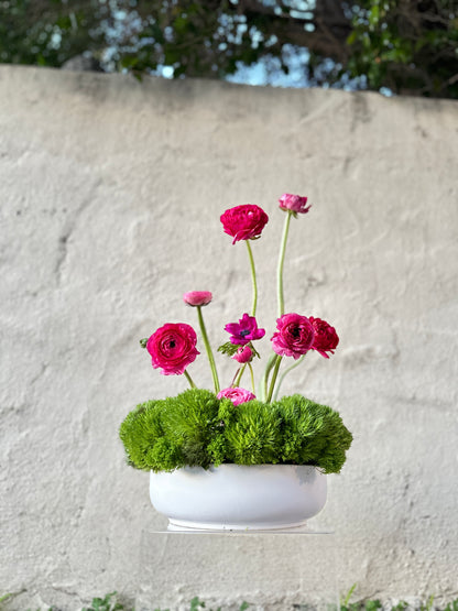 Ranunculus Garden