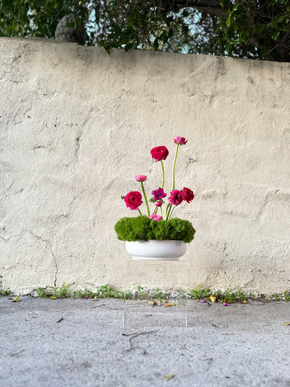 Ranunculus Garden