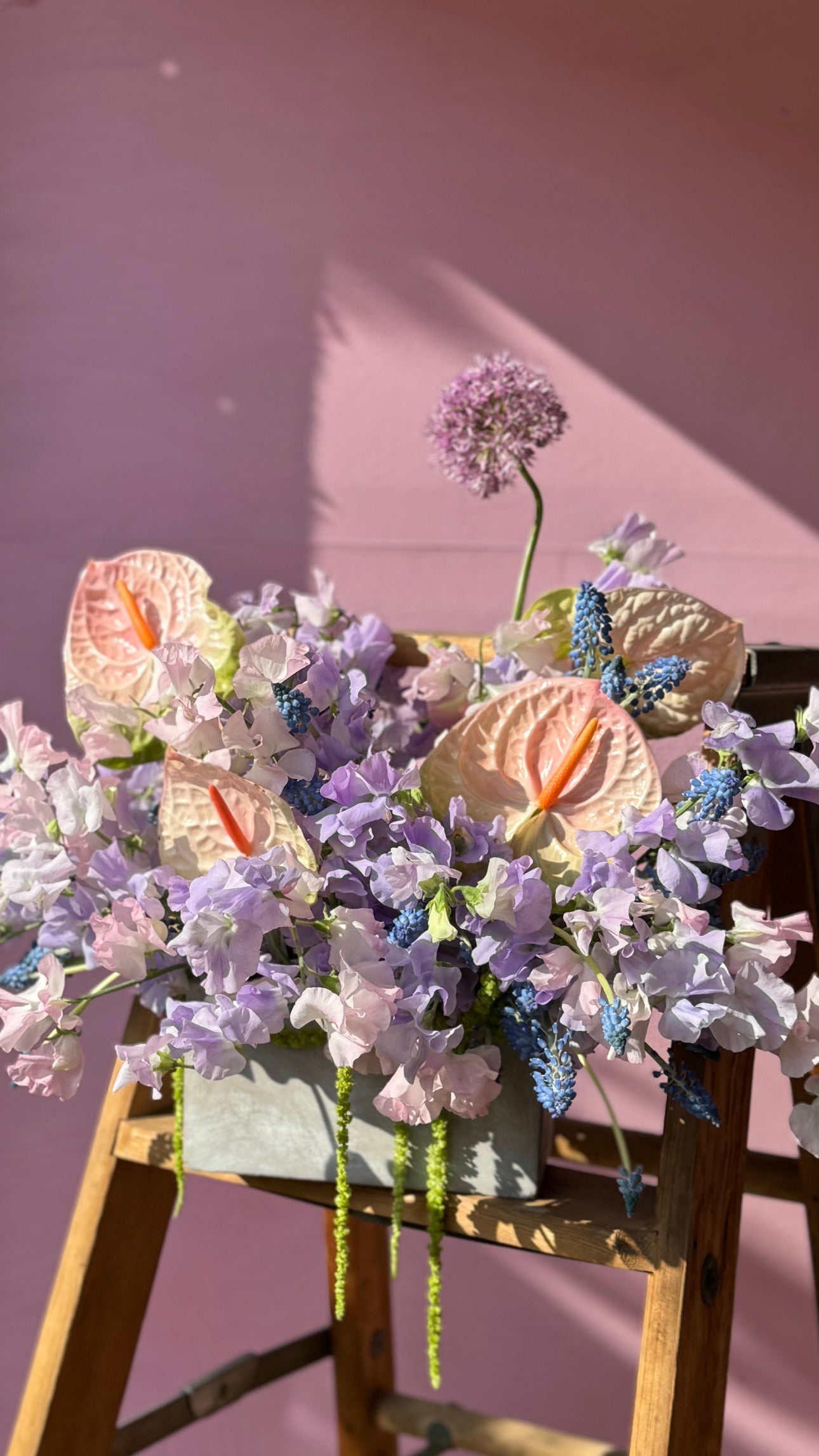 Enchanted Gardens