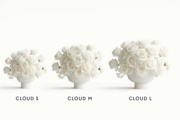 Cloud