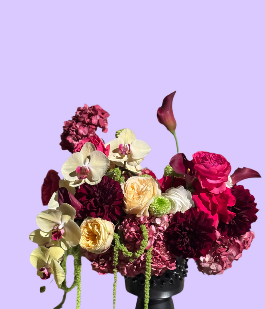 Burgundy Bliss