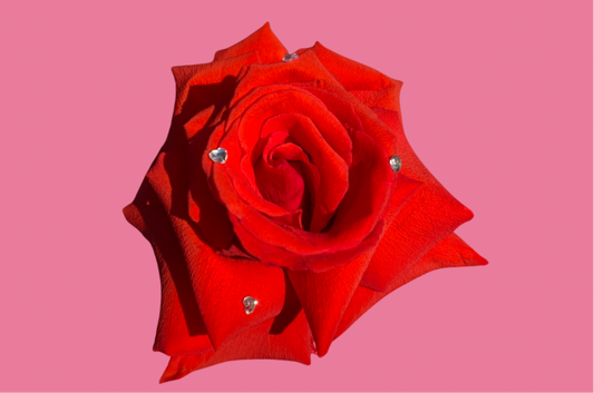 25 Stem Pink Rose Bouquet