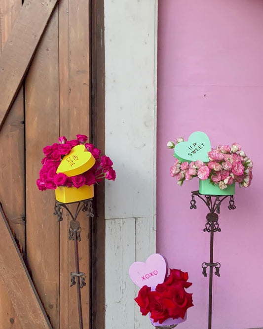 Conversation heart box
