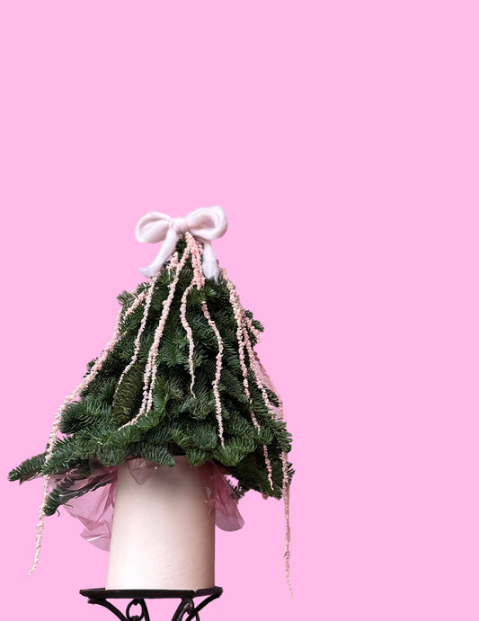 The Little Tree That Could