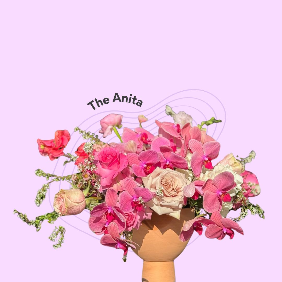 The Anita