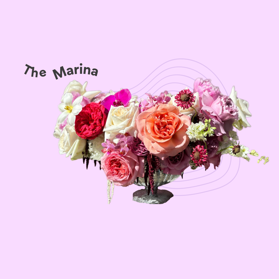 The Marina